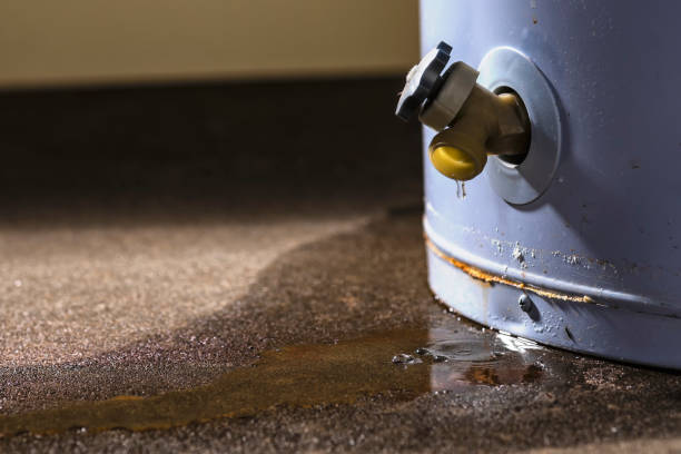 Best Fire Damage Restoration  in Bal Harbour, FL