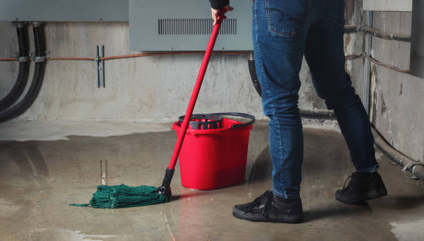Best Flood restoration services  in Bal Harbour, FL