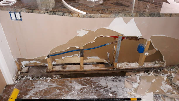 Best Basement water damage restoration  in Bal Harbour, FL