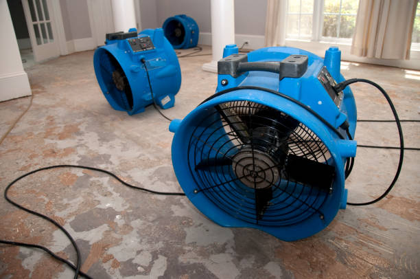 Best Flood damage cleanup  in Bal Harbour, FL