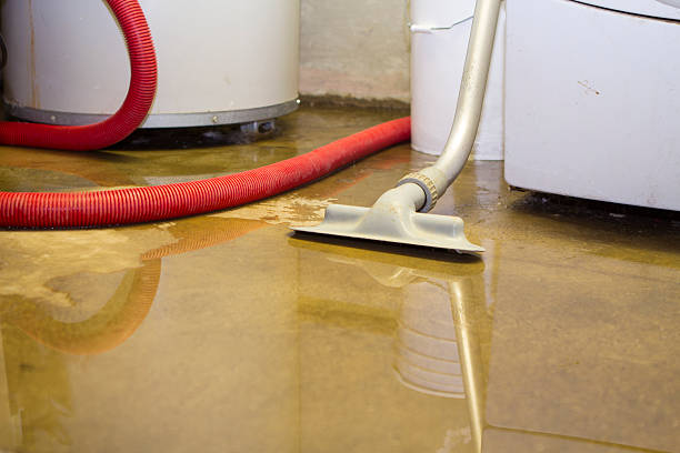 Water damage restoration mold remediation in FL