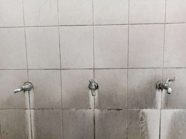 Best Emergency water damage restoration  in Bal Harbour, FL