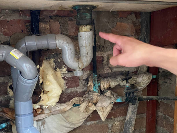 Best 24/7 water damage repair  in Bal Harbour, FL
