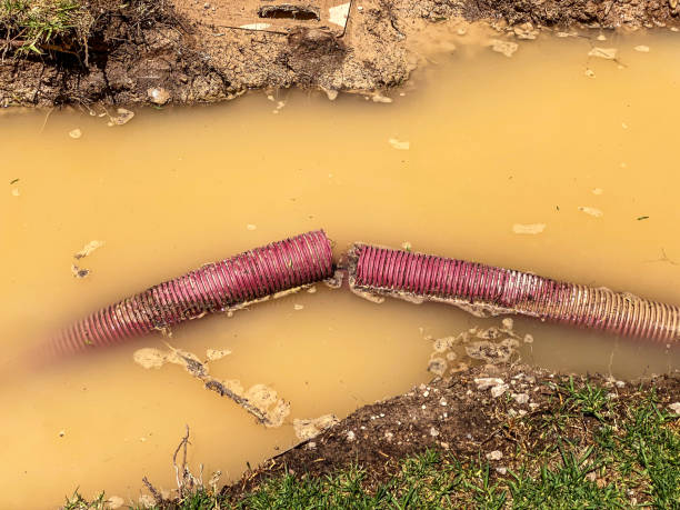Best Professional water damage repair  in Bal Harbour, FL