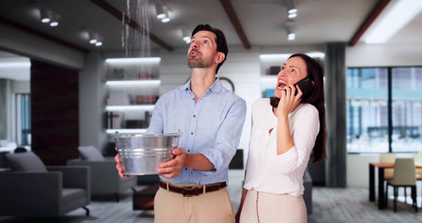 Best Water damage restoration near me  in Bal Harbour, FL