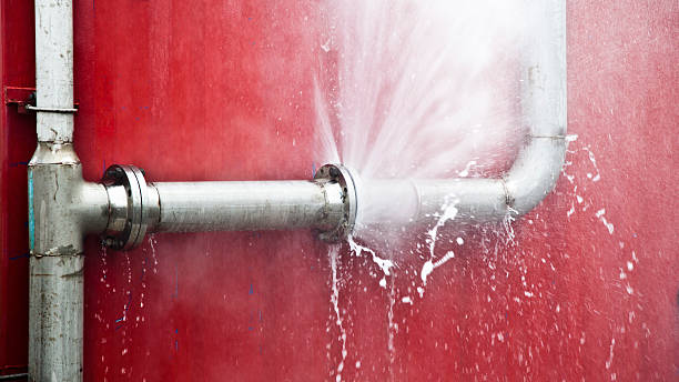 Best Mold removal after water damage  in Bal Harbour, FL